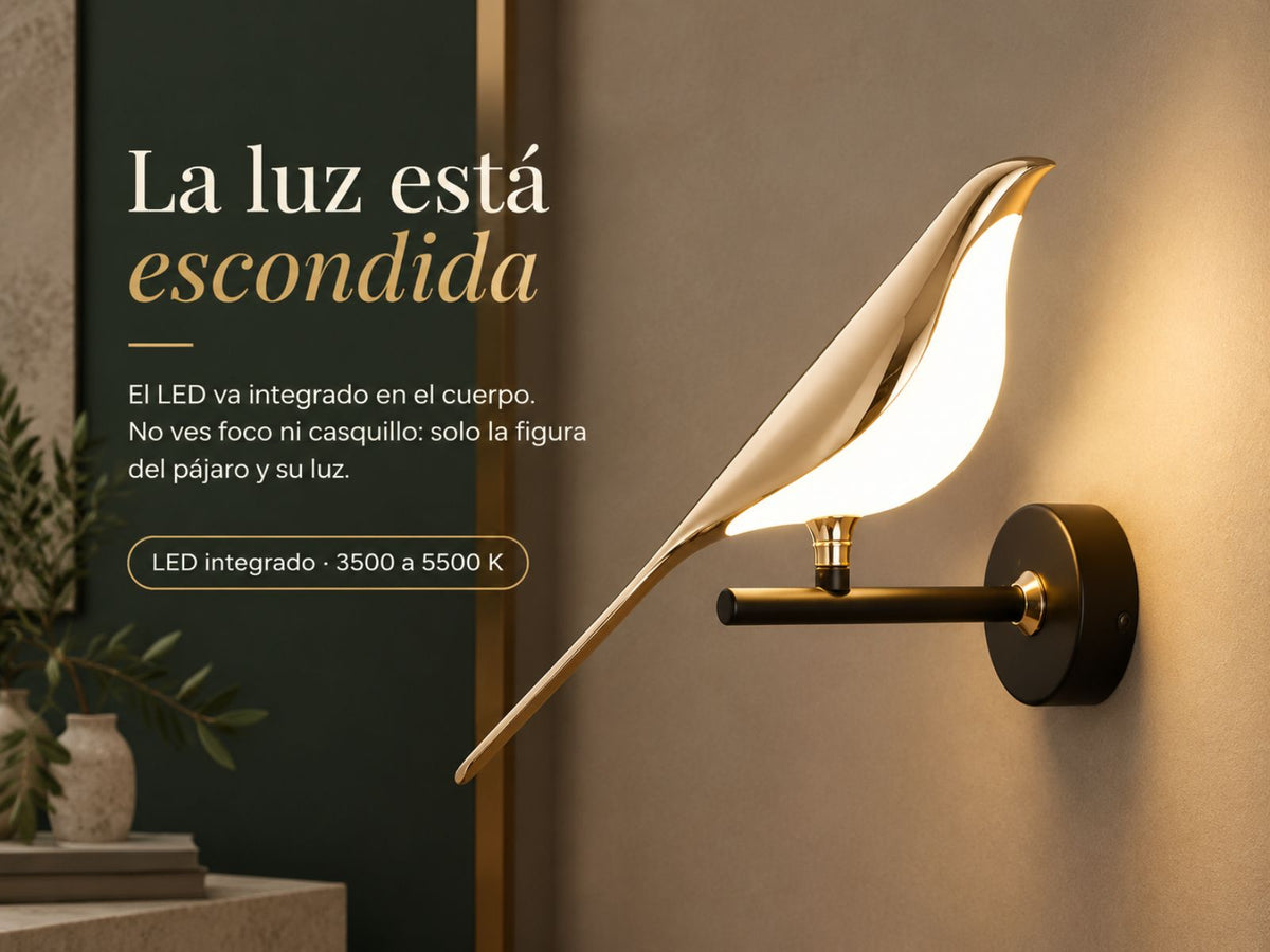 Escondida, no exhibida.