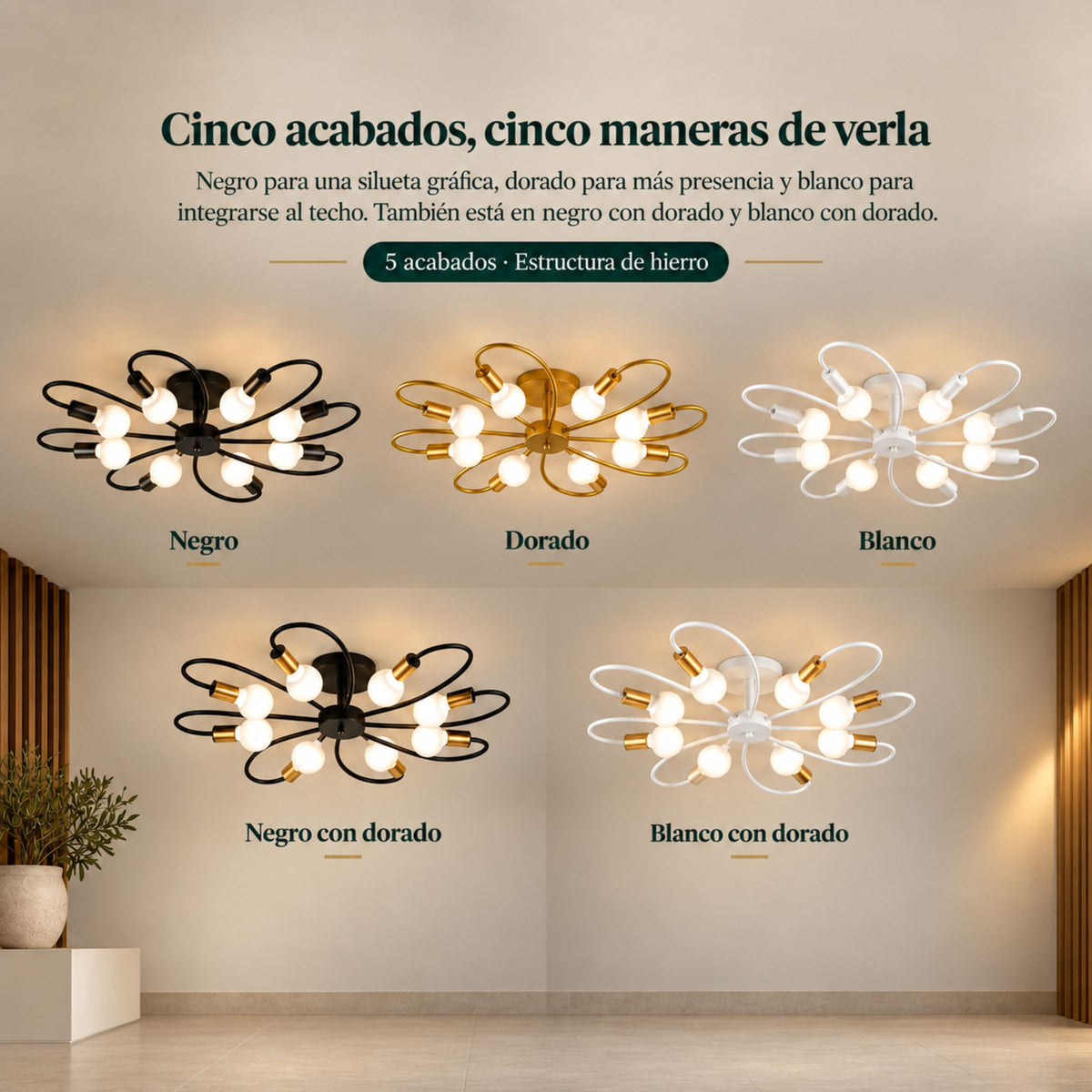 Lámpara de Techo Moderna Molécula de 6 u 8 Luces