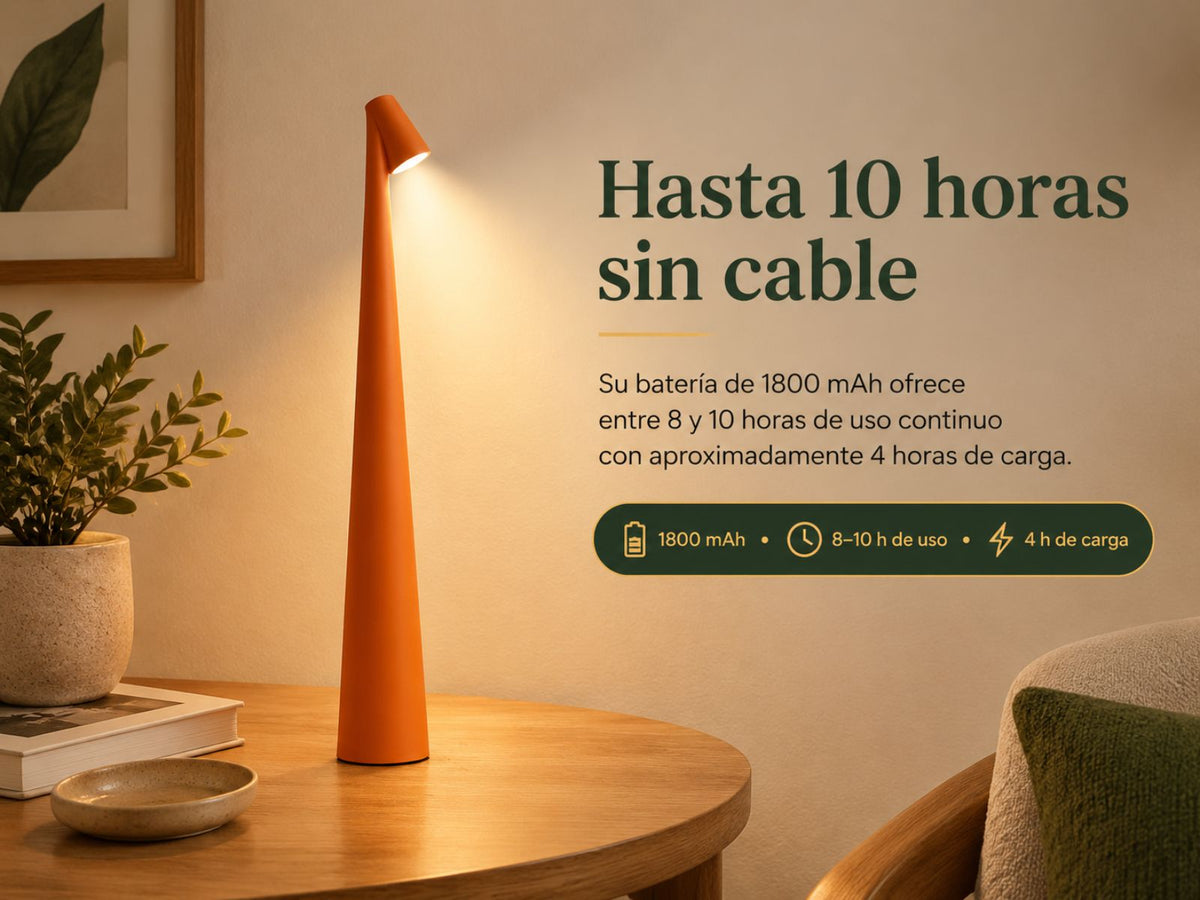 Una noche entera de luz.