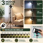Lámpara de Piso para Sala Caña Flexible