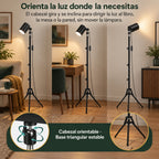 Lámpara de Piso para Sala Caña Flexible